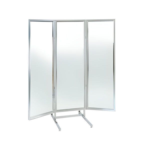 3-WAY MIRROR